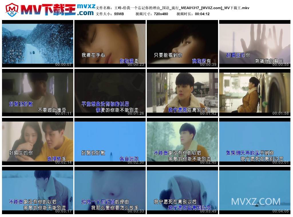 王峰-给我一个忘记你的理由_国语_流行_MEA01317